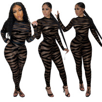Sexy Mesh Flocked See-through Splicing Black Jumpsuit