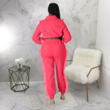 Fashion Casual Zipper Stand Collar Wooden Ear Edge Two-piece Suit