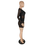 Zebra Print Mesh Splicing Long Sleeve Dress