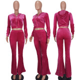 Solid Colour Hooded Wide-legged Trousers Two-piece Set