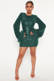 Fashion Hip Long Sleeve Solid Color Sequin Feather Dress