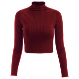 Autumn And Winter Half High Neck Solid Color Long Sleeve Knitted T-shirt