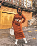 Solid Color High Neck Knitted Long Dress