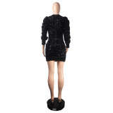 Sequin Winter Club Party Long Sleeve Dress