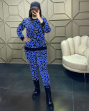 Leopard Print Women's Long Sleeve Fashion Casual Suit