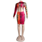 Sexy Printed Slim Fit Nightclub Dress