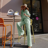 Solid Color Drape Loose Silky Pleated Casual Two-piece Suit