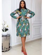 Fashion Long Sleeve Print Pleated Dress