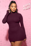 Solid Color High Neck Long Sleeve Hip Sexy Dress