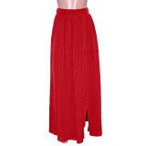 Casual Solid Color Zipper Slit Stretch Skirt