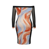 One-shoulder Mesh Stitching Long-sleeved Printed Dress