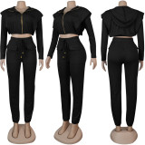 Zipper Slim Hooded Fashion Two-Piece Set