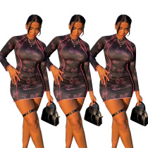 New Body-fitting Printed Rendering Dress