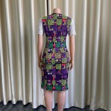Fashion Print Panel Lace Dress