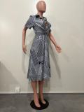 HD Geometric Irregular Print Dress