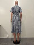 HD Geometric Irregular Print Dress