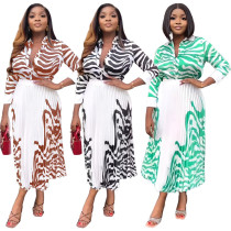 Zebra Print Long Sleeve Shirt Casual Pleated Long Skirt Two-Piece Set