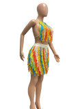 Sexy See-through Knitted Hand Hook Tassel Colorful Beach Skirt Two-piece Set