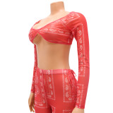 Sexy Tight Mesh Yarn See-through Printed Trousers Two-piece Set