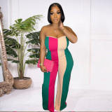Printed Sexy Tube Top Wide Leg Jumpsuit