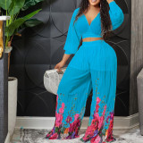 Fashion V-neck Dolman-sleeve Top With Pleated Wide-leg Pants Two-piece Set