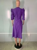 Solid Color Elegant Short Sleeve Ladies Dress