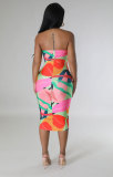 Summer High-quality Printed Sleeveless Dress