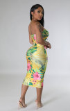 Summer High-quality Printed Sleeveless Dress