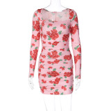 Floral Print Long Sleeve Square Neck Pleated Fitted Dress