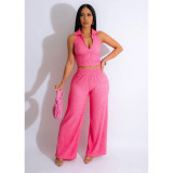 Solid Color V-neck Sleeveless Wide-leg Trousers Two-piece Set
