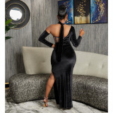 Solid Color Strapless Backless Panel Dress