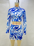 Zebra Print Cropped Top Wrapped Skirt Set