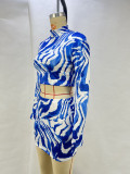 Zebra Print Cropped Top Wrapped Skirt Set