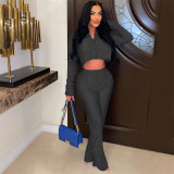 Sexy Women's Glossy Gathered Solid Color Shirt Two-piece Set