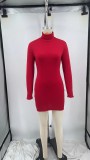 Solid Color High Neck Long Sleeve Bodycon Dress