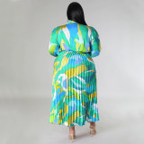 Fashionable Lantern Sleeve Printed Pleated Dress