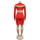 Solid Color Long Sleeve Round Neck Mesh Patchwork Dress