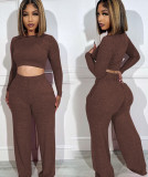 Fashionable Casual Crop Top Two-piece Set