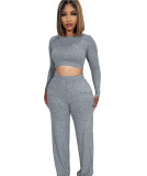 Fashionable Casual Crop Top Two-piece Set