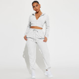 Autumn And Winter Jacquard Hooded Zipper Long Casual Sports Two-piece Set