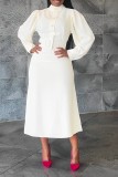Fashionable Solid Color High Collar Long Sleeve Dress