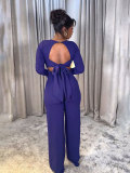 Sexy Backless Slim-fitting High-waisted Straight Jumpsuit