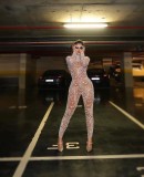Sexy Slim Fit See-through Sequined Jumpsuit