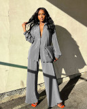 Solid Color Pleated Long-sleeved Two-piece Set