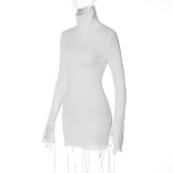 Stylish Turtleneck Slim Long Sleeve Shredded Hem Dress