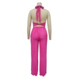 Sexy Sleeveless Backless Solid Color Pleated Pants Two-piece Set