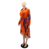 Elegant Casual Printed Irregular Dress