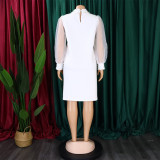 Fashion Net Gauze Sleeve Beaded Large Size Dress