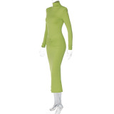 Stylish Pleated Slim-fitting High-neck Long-sleeved Dress