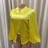 Solid Color Lantern Sleeve Elegant V-neck Top